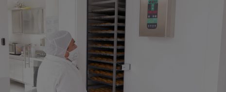 fabrica deorno de panques sin gluten